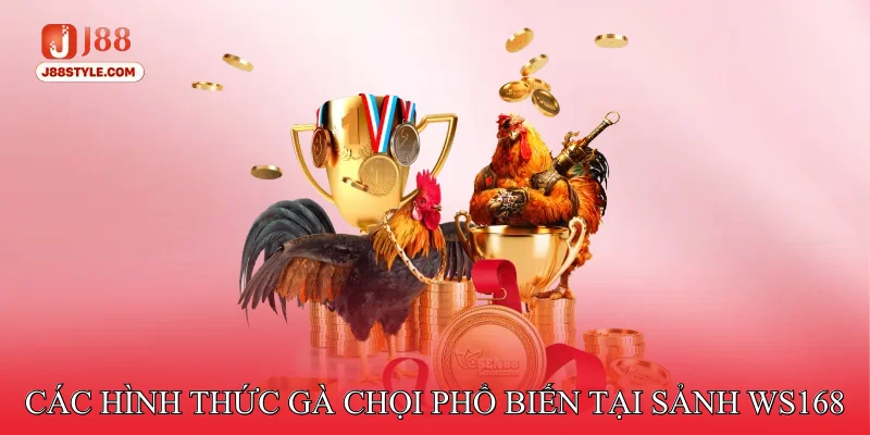 Đá Gà WS168 - Sân Chơi Của Các Chiến Kê Tuyển Chọn Các hình thức chọi kê phổ biến tại sảnh Ws168