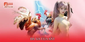 Đá gà cựa sắt