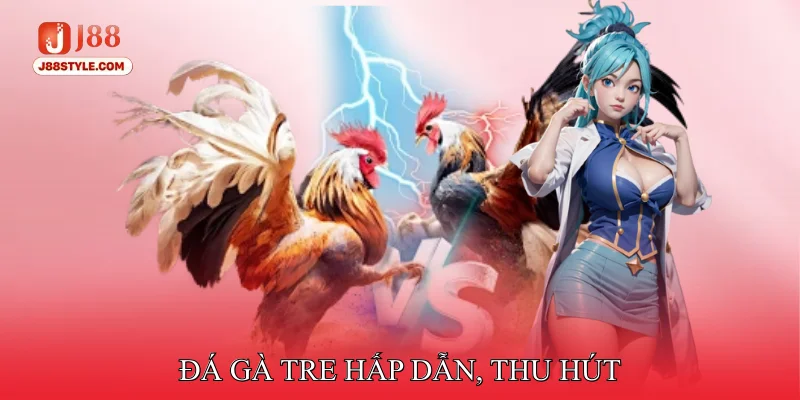 Đá Gà Tre - Sân Chơi Của Những Chiến Kê Tuyển Chọn Thực Thụ Đá gà tre hấp dẫn, thu hút