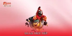 Đá gà trực tiếp