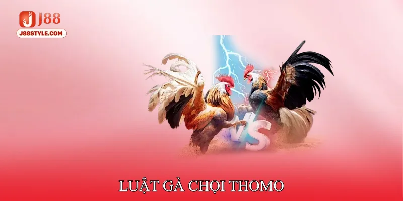 Đá Gà Thomo - Nhập Môn Các Quy Tắc Cơ Bản Cho Tân Thủ Luật chọi kê Thomo
