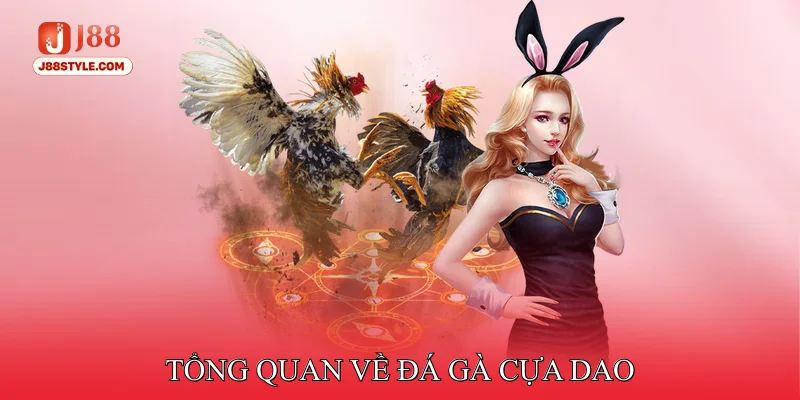 Đá Gà Cựa Dao - Quy Tắc Cực Chi Tiết Cho Người Mới Tham Gia Tổng quan về Đá gà cựa dao